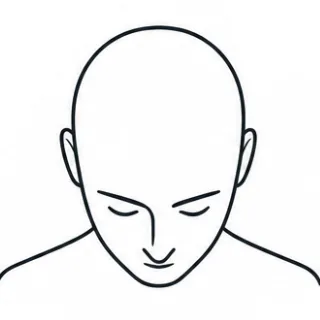 Top pose guide